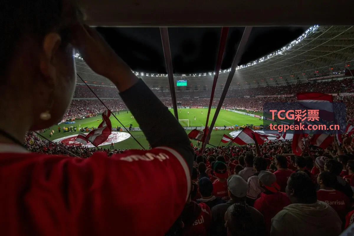 TCG彩票和值跨度统计